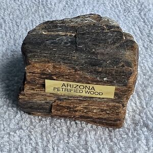 Arizona Jean Company Petrified Wood Decor - Rich Brown